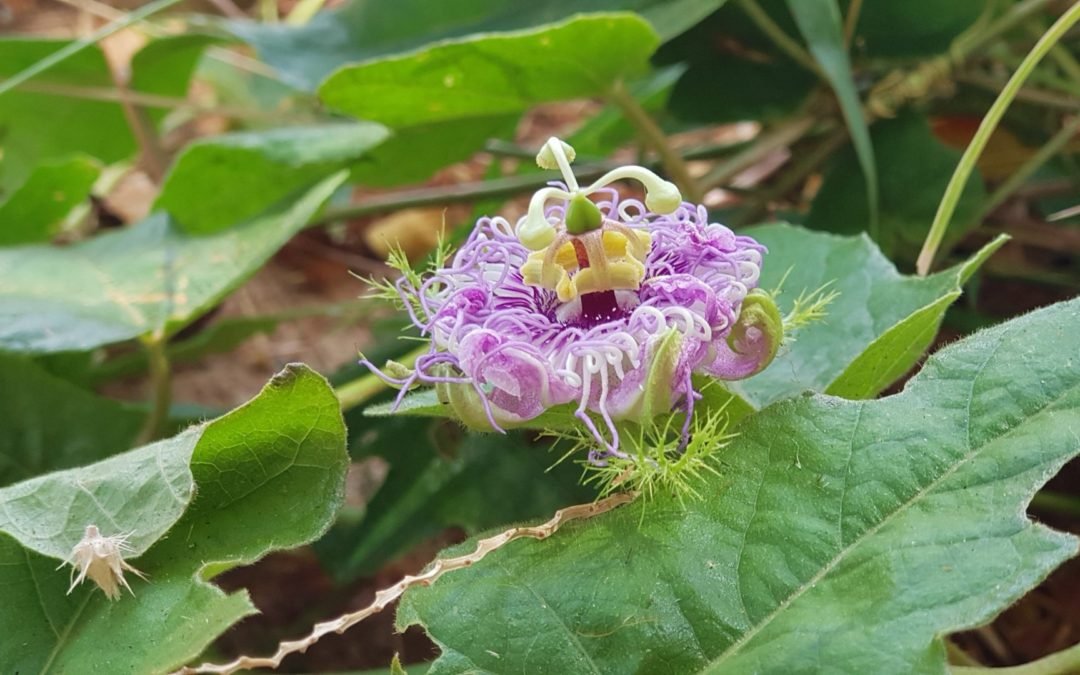 Slow . Quiet . and Peaceful