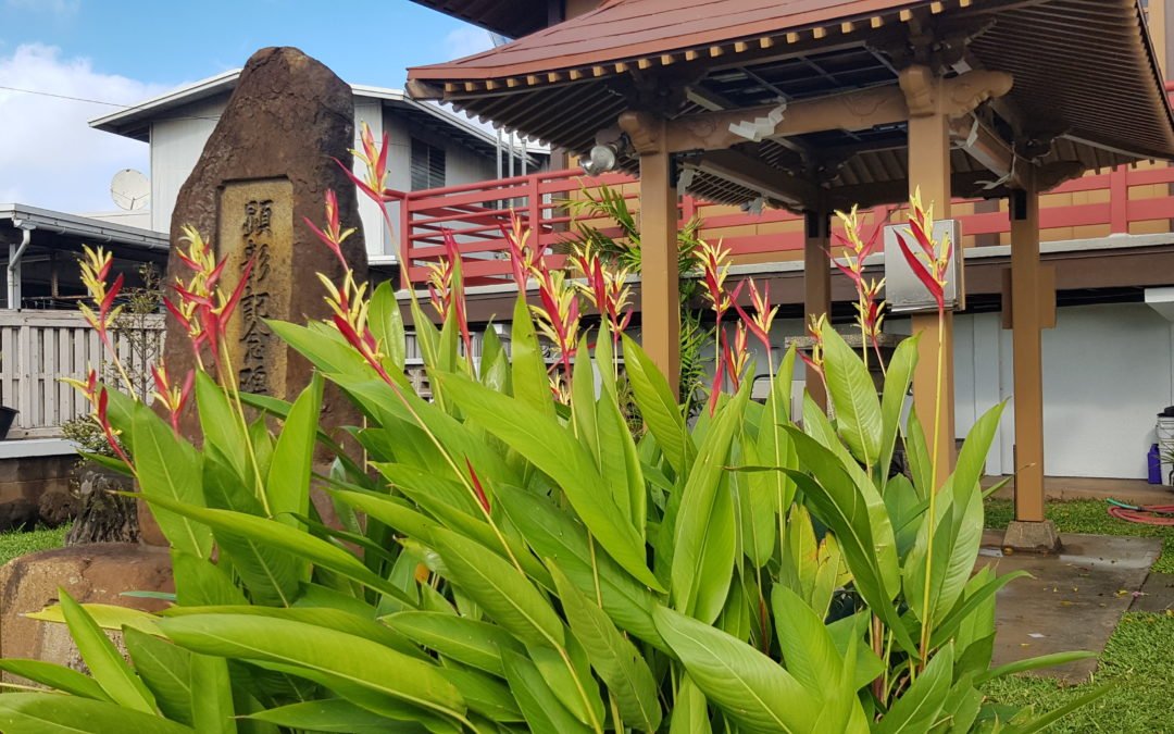 Hawaii Kotohira Jinsha Temple Visit