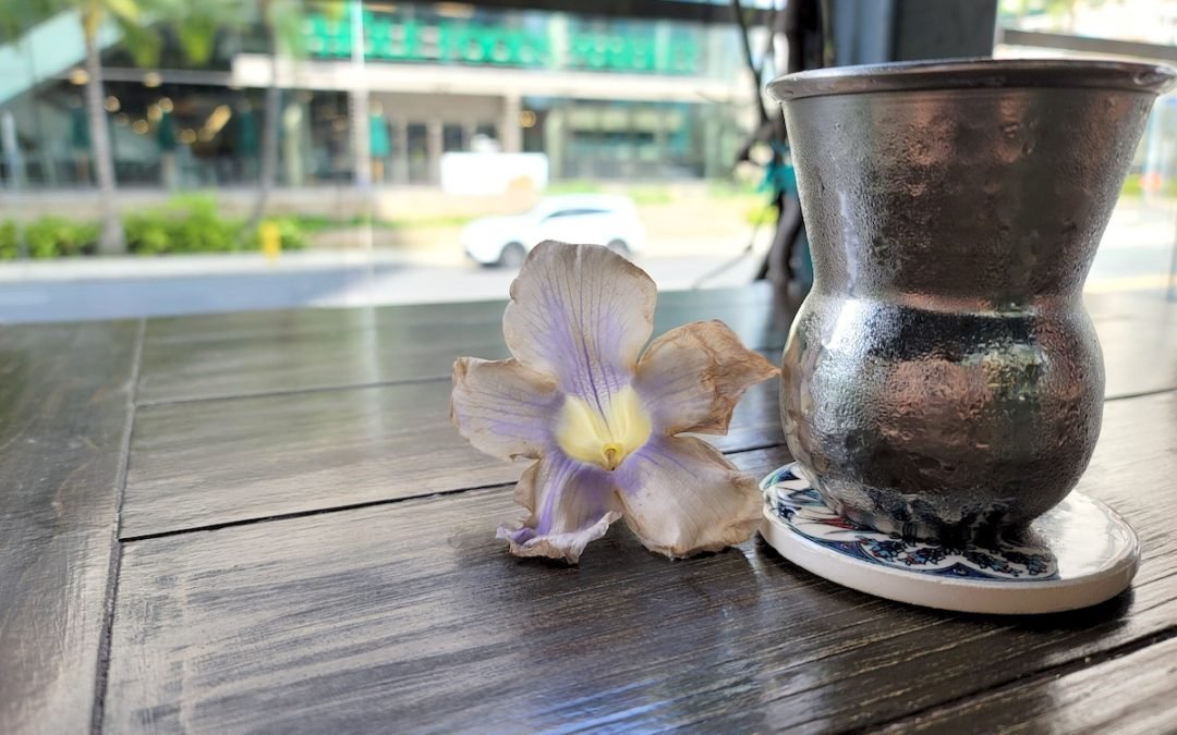 Sixth pregnancy journey-1