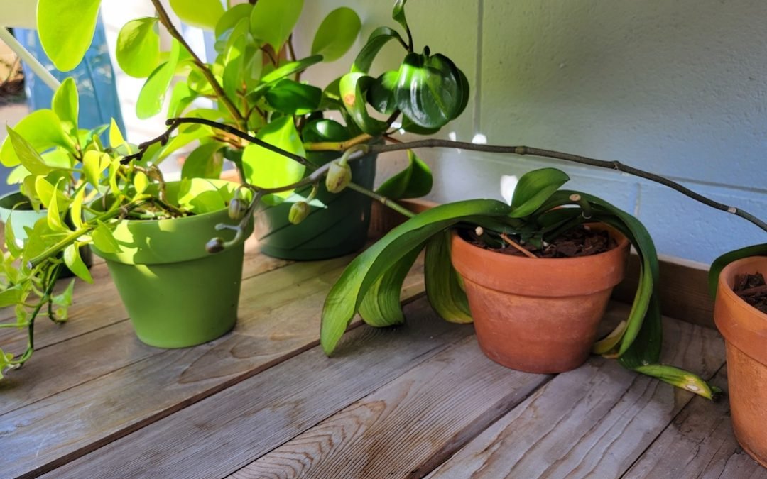 Invite peaceful energy