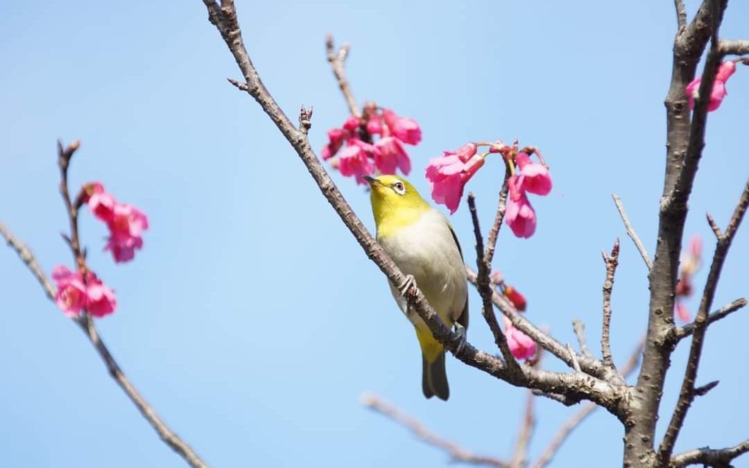 You have tried your best