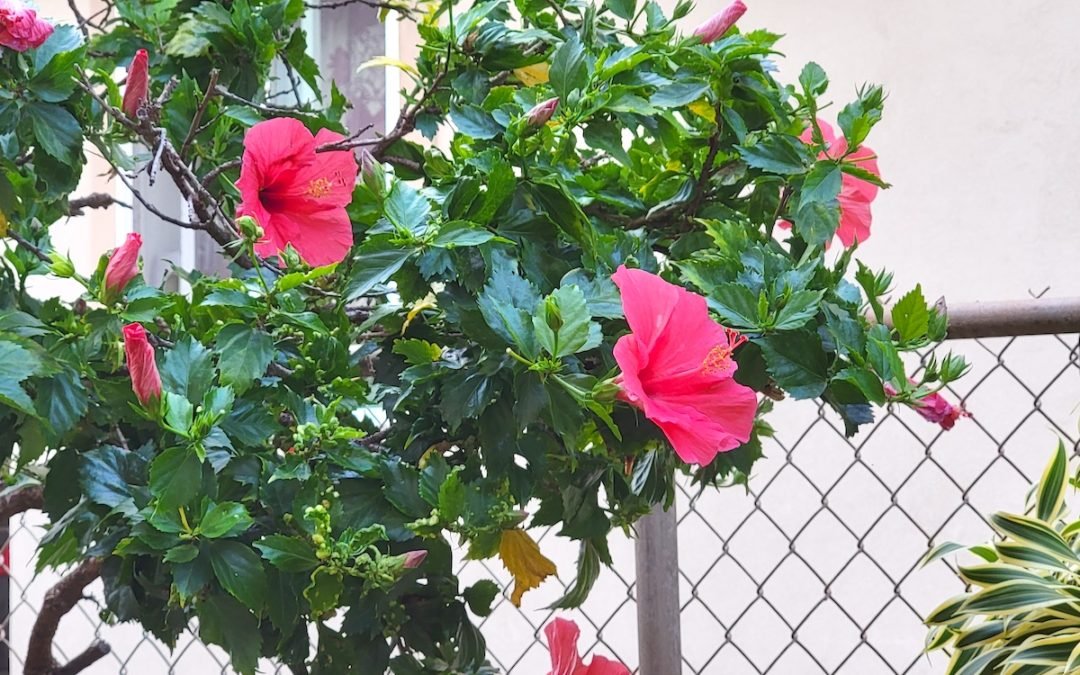 Being kind with boundaries