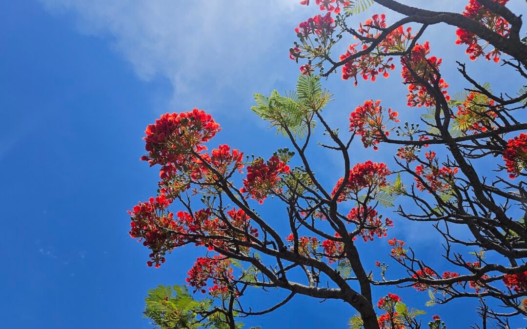 The Essential Elements of Pausing