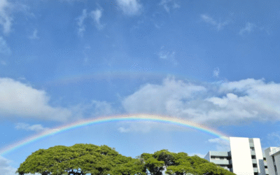 Rainbow morning, rainbow mind