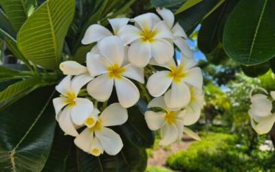 A Small Moment of Awareness