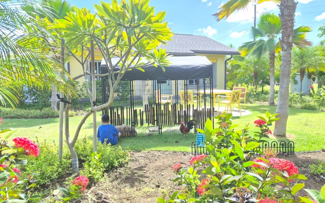 Quiet Compassion in Action