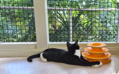 Where Spirituality Meets Daily Breath